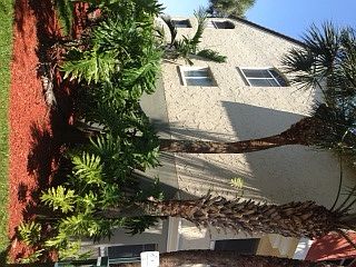 1st image of 10025 NW 46th St APT 102