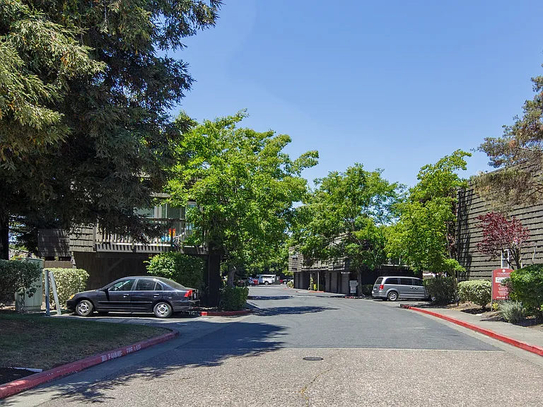 Cedarwood Apartments — Photo 12