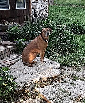 Native stone from yard