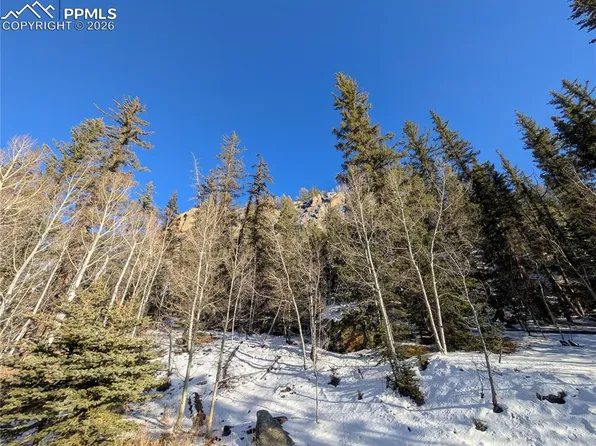 386 Brook Dr, Lake George, CO 80827