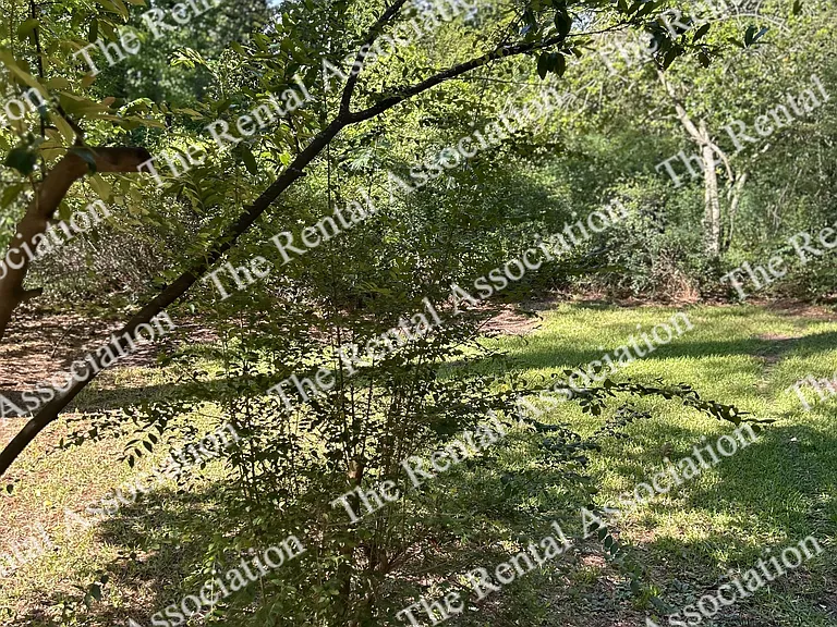 309 E Texas Ave — Photo 24