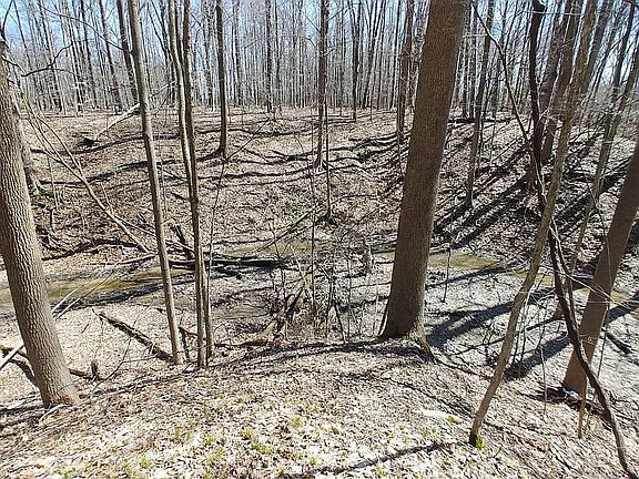 2nd image of 9900 Maudlin Rd