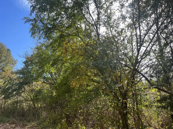 2 Clyde Webb Rd, Tennessee Ridge, TN 37178