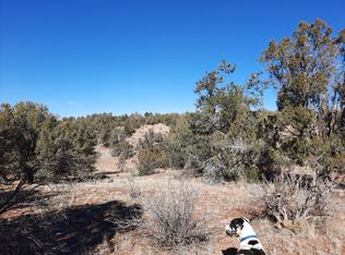 54263 N Forest Grove Way, Seligman, AZ 86337