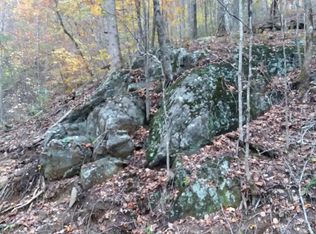 13 Valley View Dr, Robbinsville, NC 28771