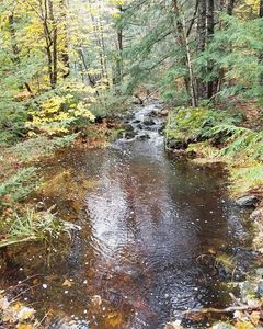 M 15 L 43 Brookview Drive, Bucksport, ME, 04416