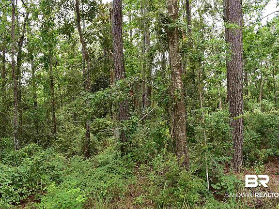 3rd image of 10092 Bayou Cir