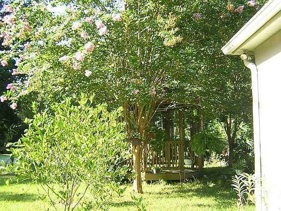 Side Yard