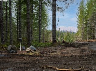 Lahar Ln #1A, Cougar, WA