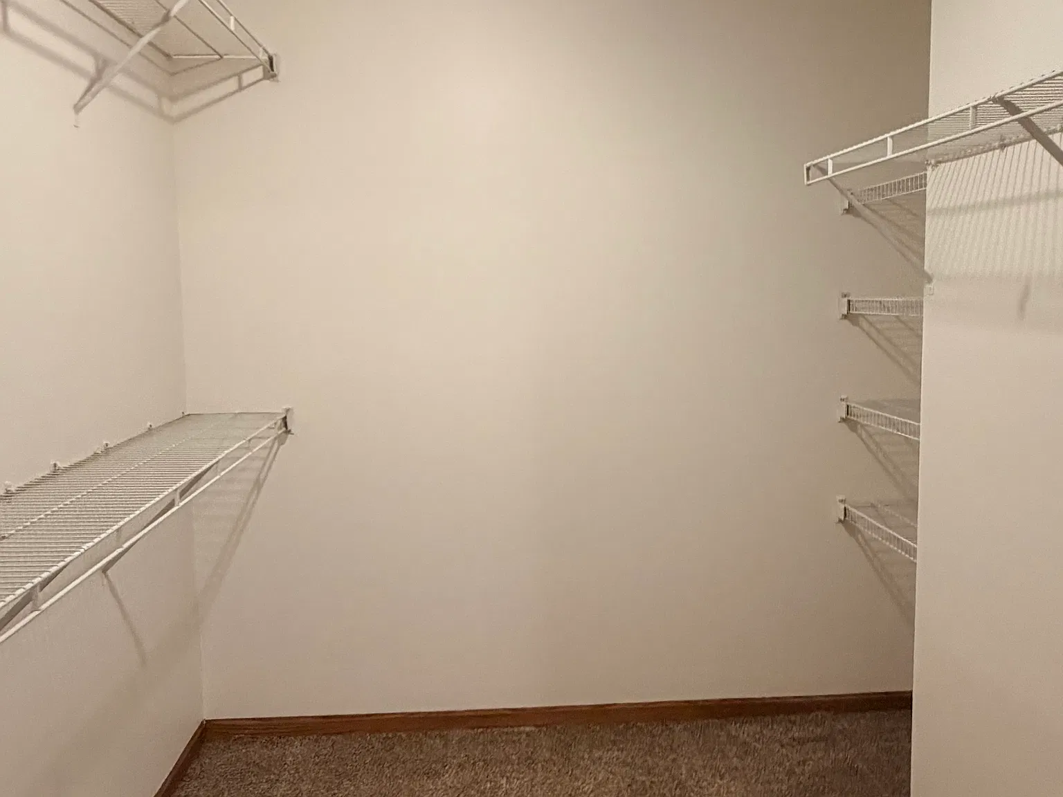 1 bed, $825 — Photo 1