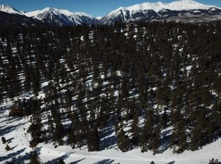 680 Edward E Hill Dr, Twin Lakes, CO 81251