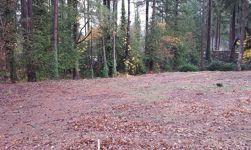 2nd image of 12225 Interlaaken Dr SW
