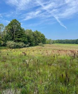 /3 Mile Rd, Reed City, MI, 49677