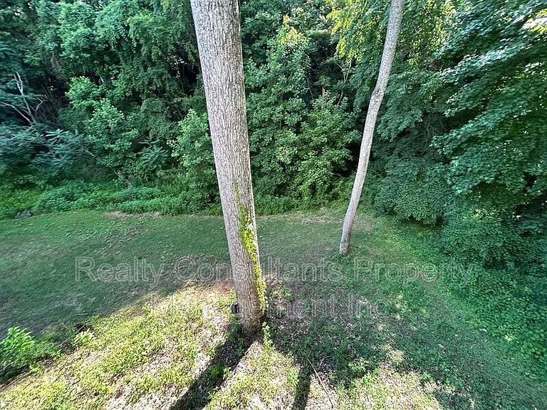 4540 Pebble Lake Dr — Photo 75