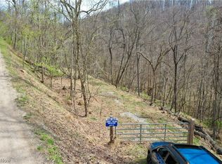 1536 Jakes Fork Rd, Arnoldsburg, WV 25234