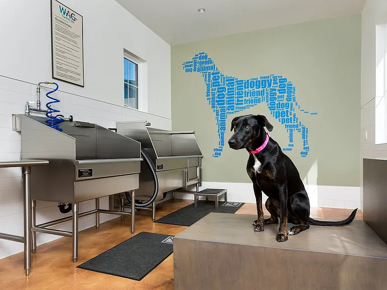 WAG Pet Spa
