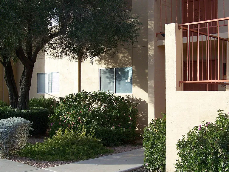 1339 E Fort Lowell Rd #M — Photo 2