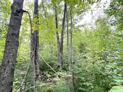 556AC Star Lake Rd, Crandon, WI, 54520