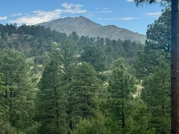 LOT 4 Alto Dr, Alto, NM 88312