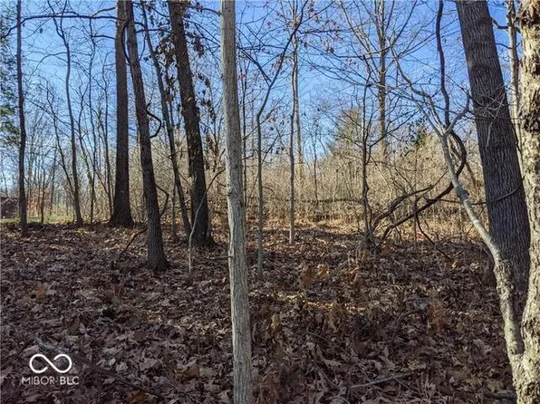 0 Gazelle Dr, Nineveh, IN 46164