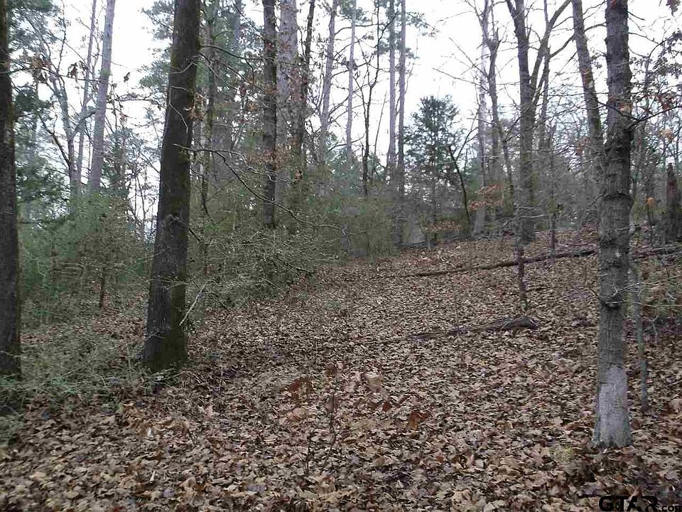 2nd image of 0 Valleywood Trl