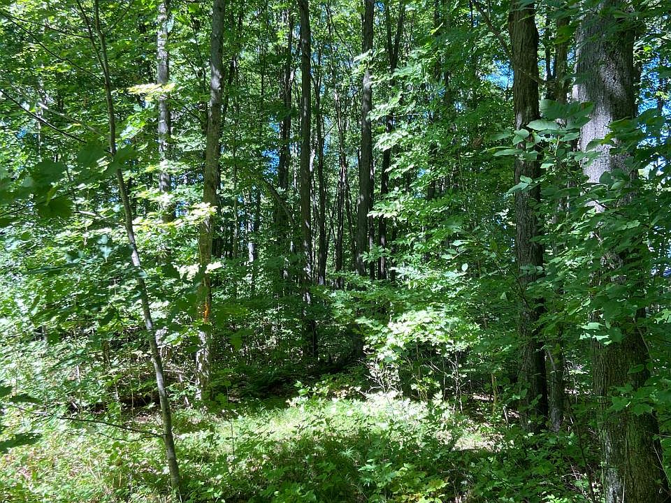 1st image of 6814 Little Long Lake Ln