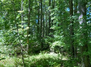 6814 Little Long Lake Ln, Wabeno, WI 54566
