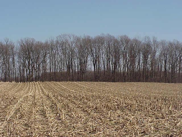 1st image of 0 Mechanicsburg Rd