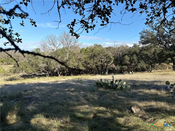979 Deer Springs Dr, Burnet, TX 78611