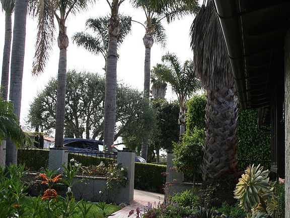 Front Yard from Side Yard