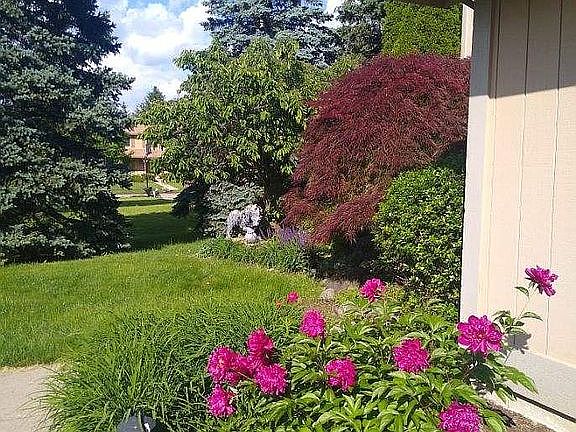 5th image of 3976 W Sunwind Dr