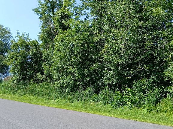 5th image of 285 Elderberry Ln