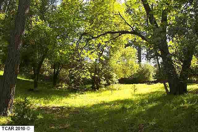 1st image of 12852 Mueller Dr