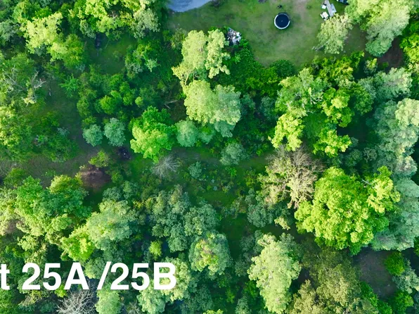 17007 Summerfield South Rd, Prairieville, LA 70769