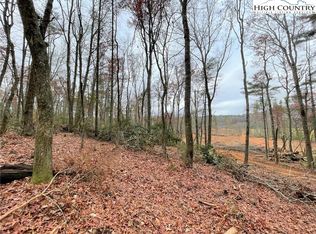 Tba Lower Nettle Knob Rd, Warrensville, NC 28693