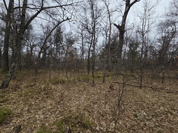 V/l S Harvard Ave, Baldwin, MI 49304