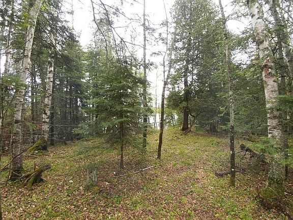 5th image of 4512 Serenity Point Rd