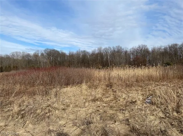 Timber Pointe Trl, Mantua, OH 44255