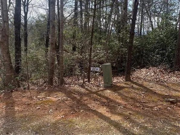 V/l Marterdan Rdg, Marion, NC 28752