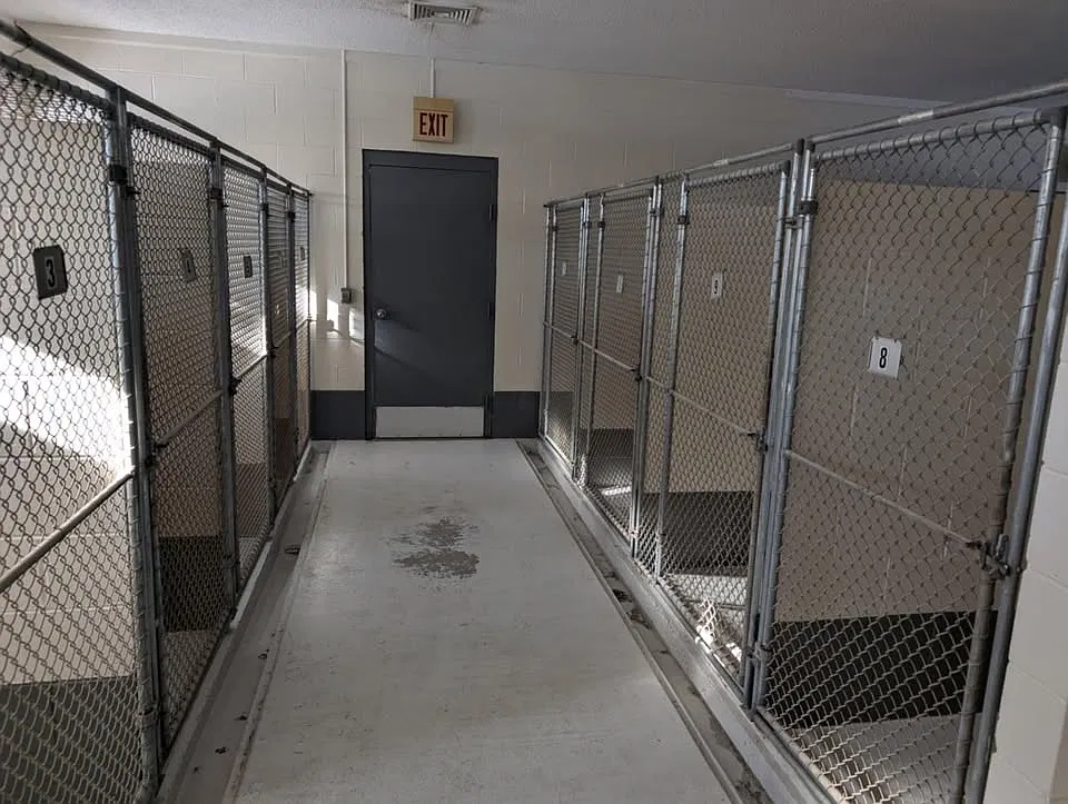 2 bed, $1,200 — Photo 3