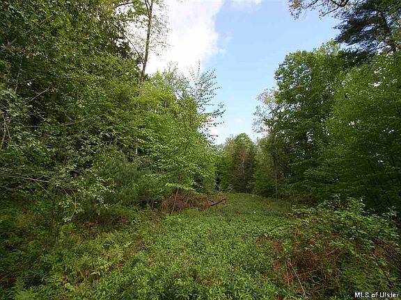 4th image of Oakwood Dr
