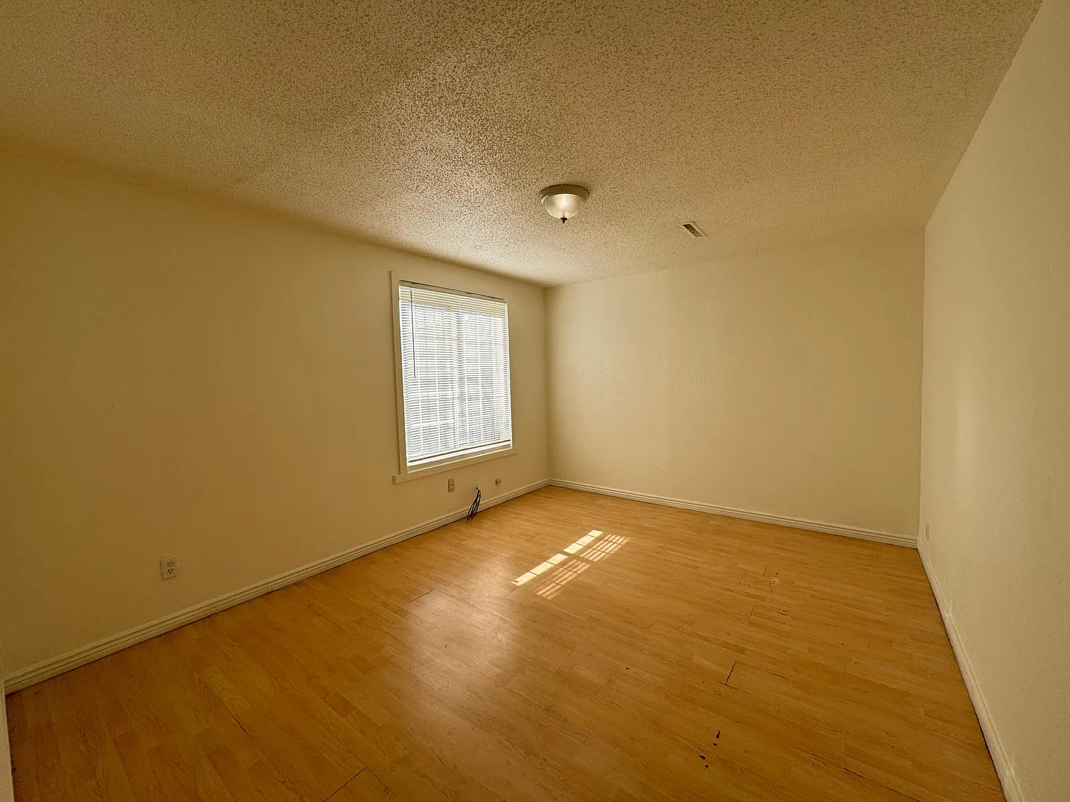 1 bed, 600 sqft, $1,250 — Photo 3