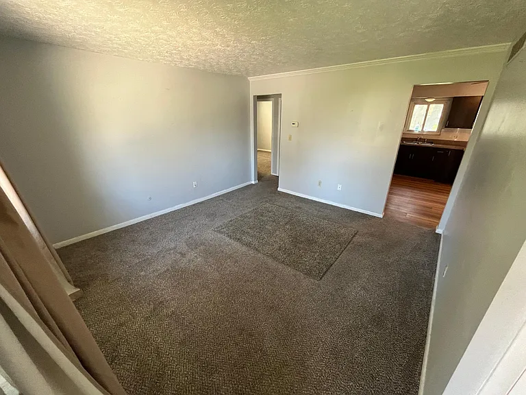 3224 Laurel Rd — Photo 5