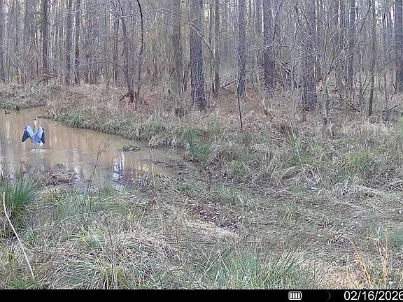 4th image of 0 Kennedy Rd