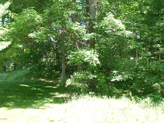 3rd image of 10910 Boxwood Dr