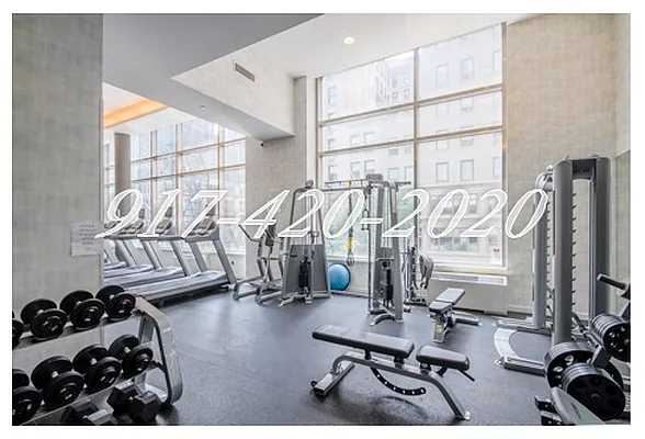 Rented by Location 3 | media 32