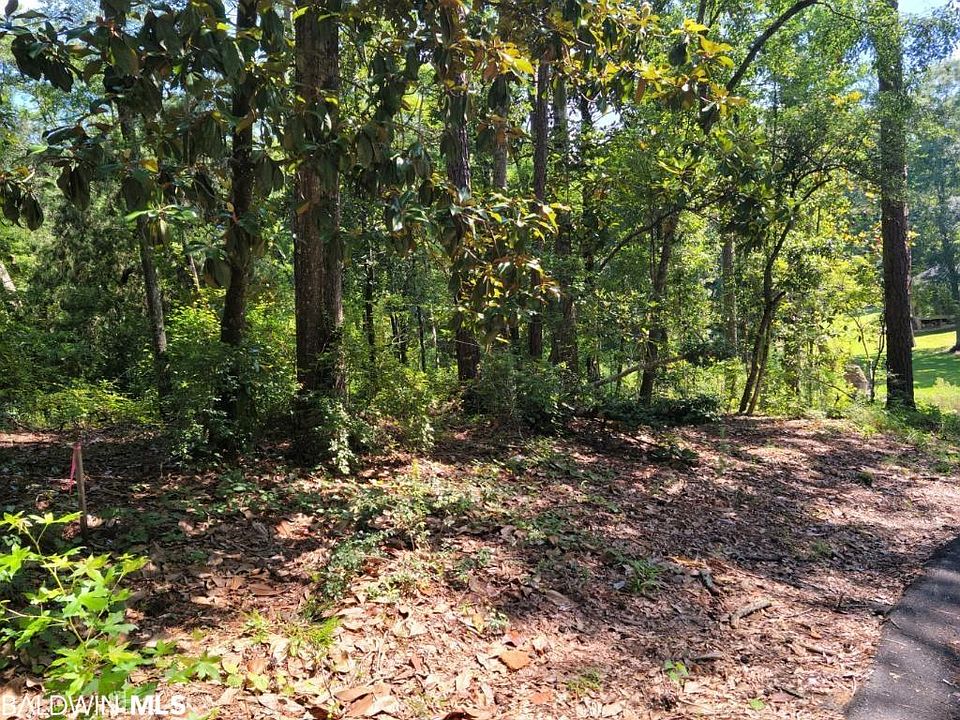 2nd image of 175 Greenwood Dr Lot 77