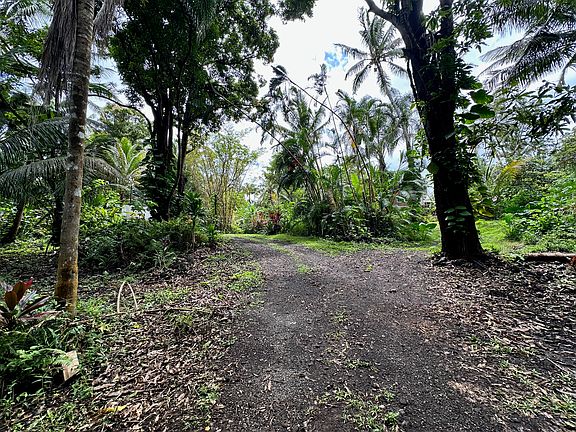 2nd image of 13-6260 Kalapana Kapoho Beach Rd