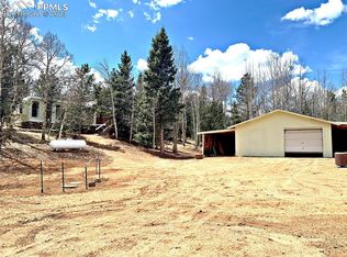 10104 High Rd #67, Divide, CO 80814