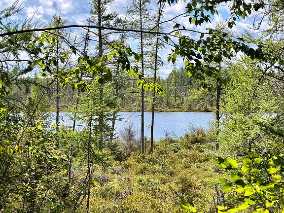 5th image of Pine Lake Rd
